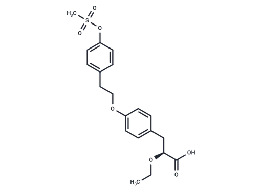 Tesaglitazar