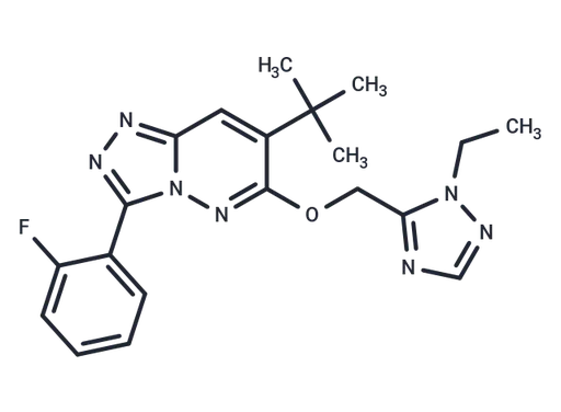TPA 023