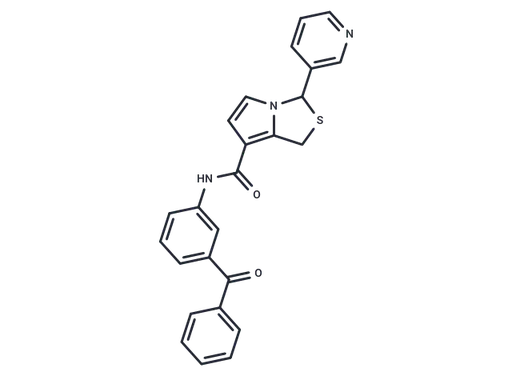 Tulopafant