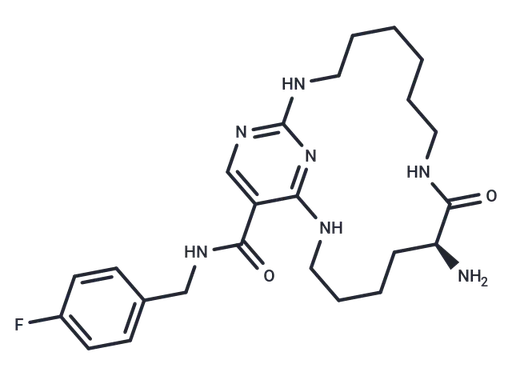 UNC2541