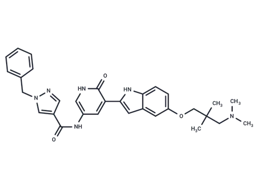 VER-00158411