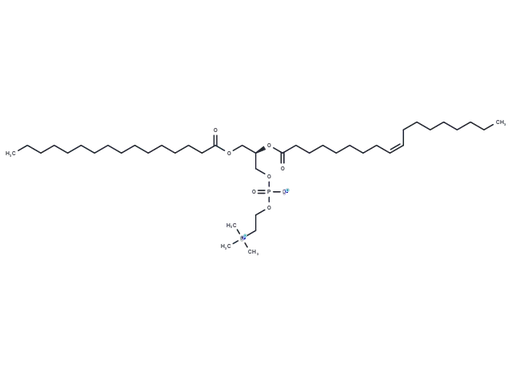 1-Palmitoyl-2-oleoyl-sn-glycero-3-PC