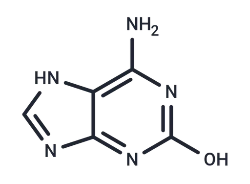 Isoguanine