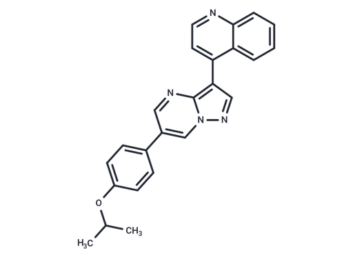 DMH-1