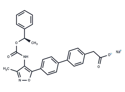 AM095