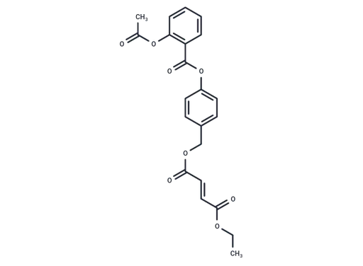 GTCpFE
