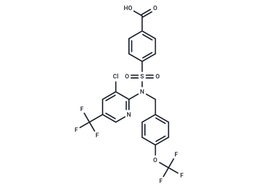 RQ-00203078