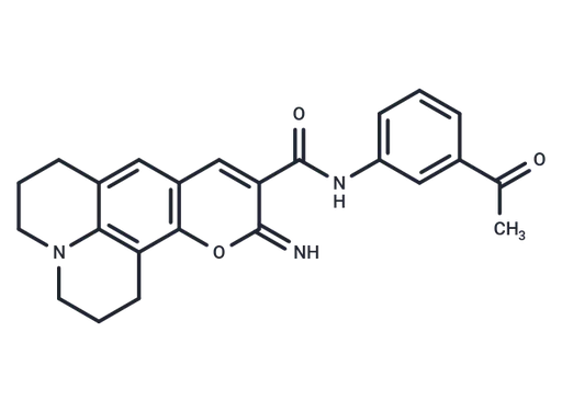 Immunoproteasome activator 1