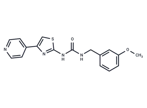 RKI1313