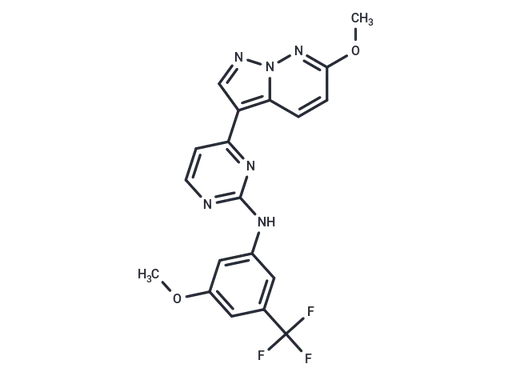 SGC-CLK-1