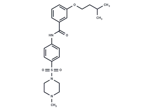 Hsp110-STAT3 interaction-IN-1