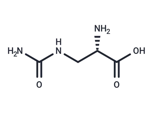 L-Albizziin