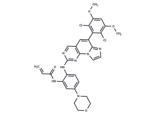 FGFR-IN-16