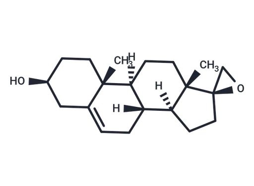 BNN-20