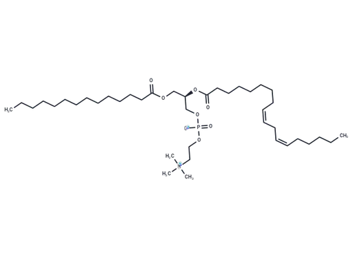 1-Myristoyl-2-Linoleoyl-sn-glycero-3-PC
