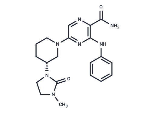 BTK-IN-40