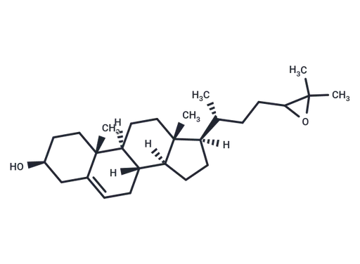 24,25-Epoxycholesterol