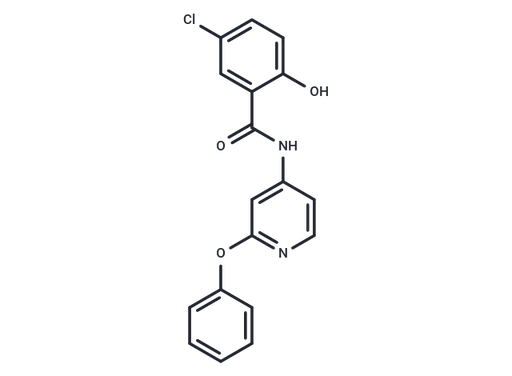 DDO-6079
