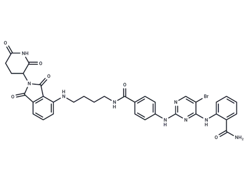 PROTAC JNK1-targeted-1