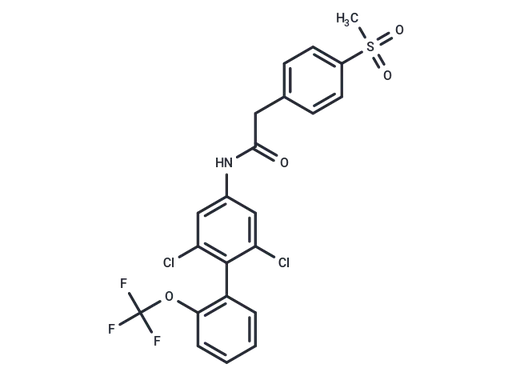 RORγt inhibitor 4