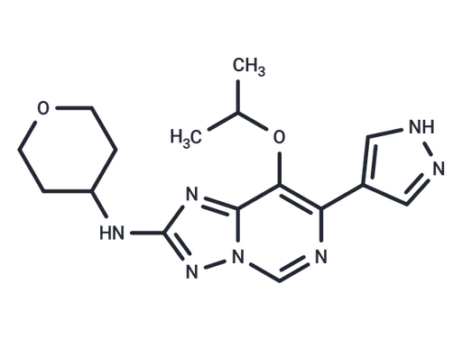 CDK2-IN-40