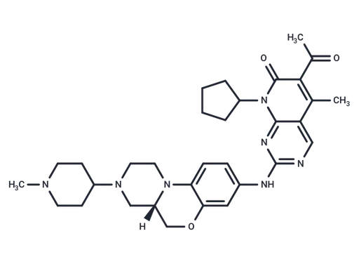 CDK4/6-IN-24