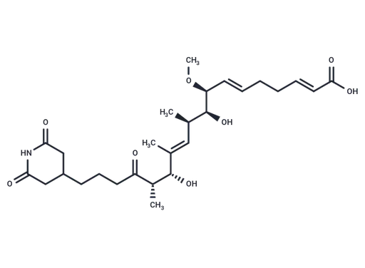 Dorrigocin A