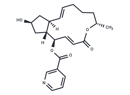 Brefeldin A 4-O-nicotinate