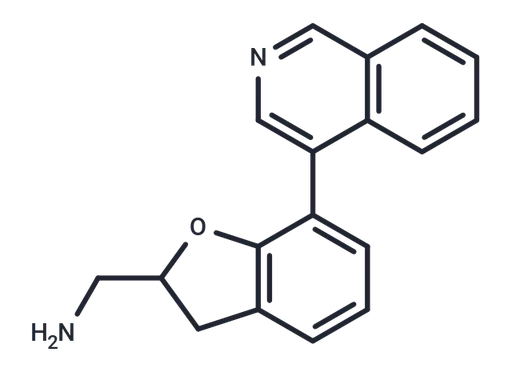 Rho GTPase inhibitor 1