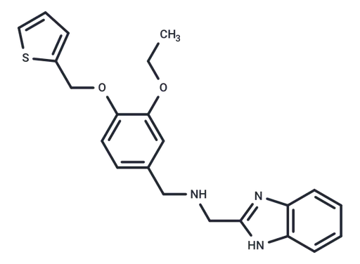 DCEM1