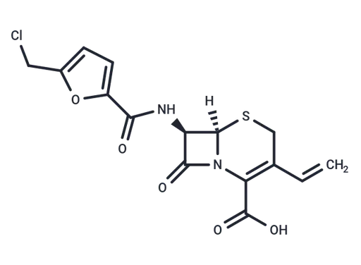 SPOP-IN-2