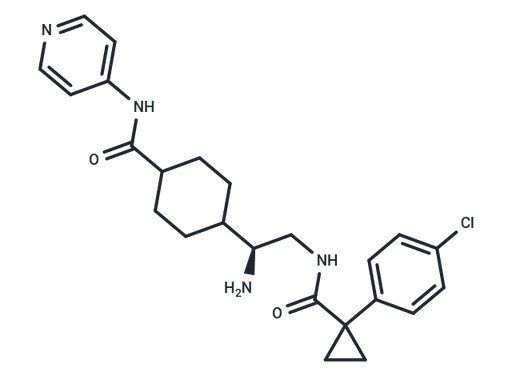 CIDD-0072424