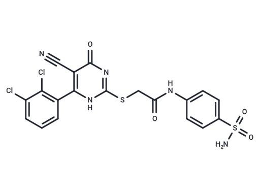 hCAIX-IN-20