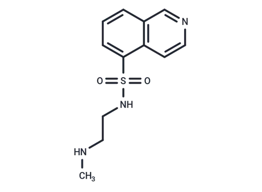 Protein kinase inhibitor 7