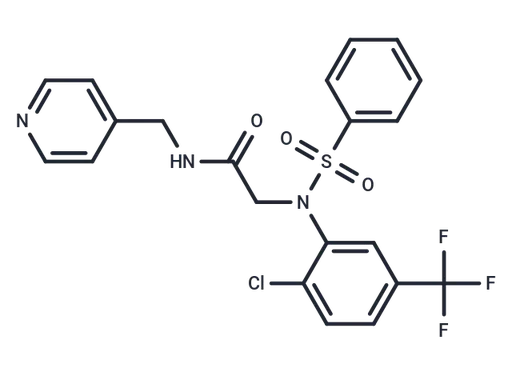 CCC-0975