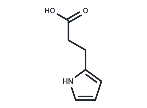 CEP03