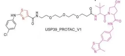Usp39 PROTAC-V1