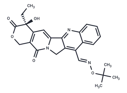 Gimatecan