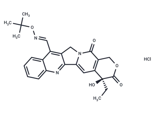 Gimatecan HCl