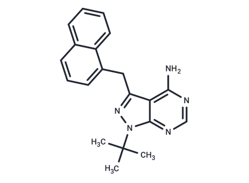 1-NM-PP1
