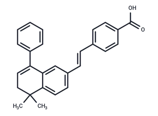 BMS453