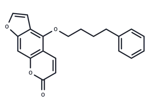 Psora 4