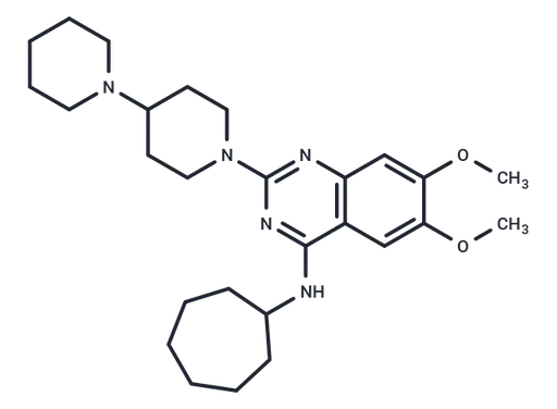 C-021