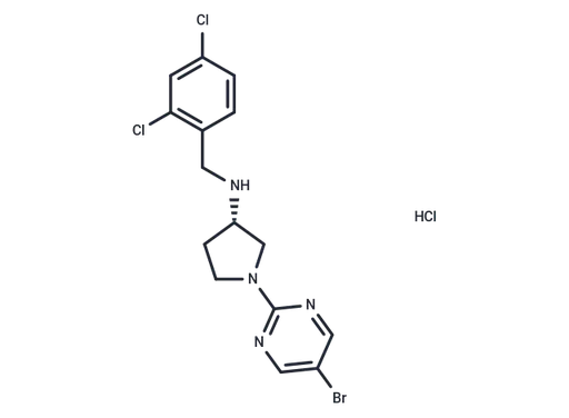 LY 2389575 hydrochloride