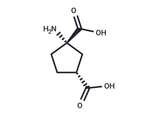 (1S,3R)-ACPD