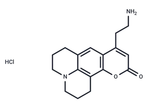 FFN 511 hydrochloride
