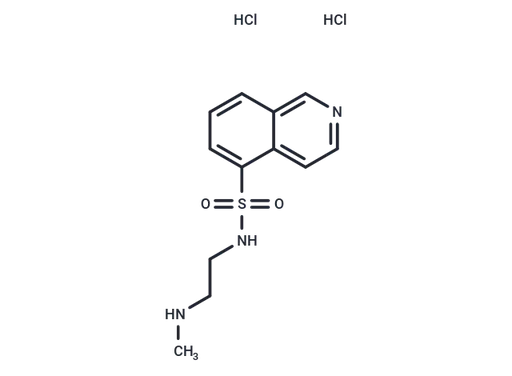 H-8 hydrochloride