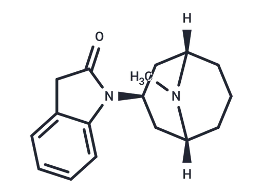 SR 16584