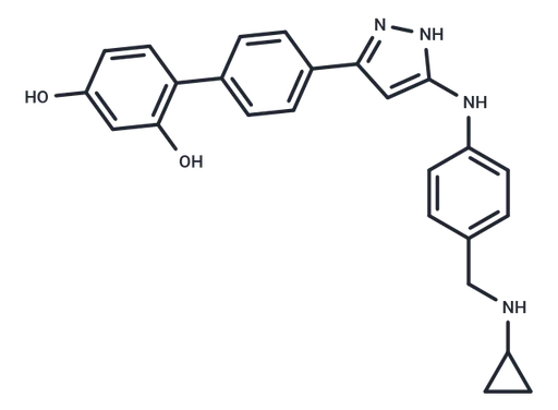 TCS 2312