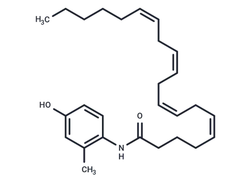 VDM 11